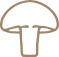 Functional Mushrooms
